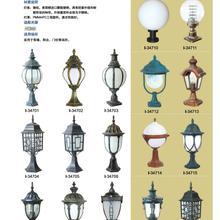 特色泰软件开发 融合创新与文化的技术之道