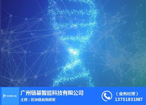 链基智能 智能系统解析与厦门数据处理存储服务新趋势