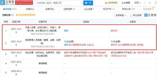 雷军卸任小米科技武汉高管职务，聚焦战略布局与数据处理业务发展
